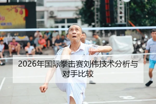 2026年国际拳击赛刘伟技术分析与对手比较