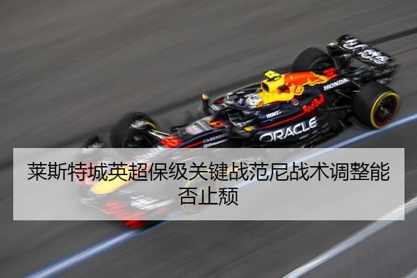 莱斯特城英超保级关键战范尼战术调整能否止颓