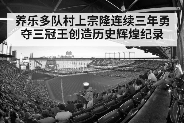 baseball stadium crowd