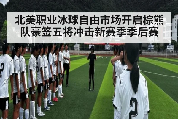 北美职业冰球自由市场开启棕熊队豪签五将冲击新赛季季后赛